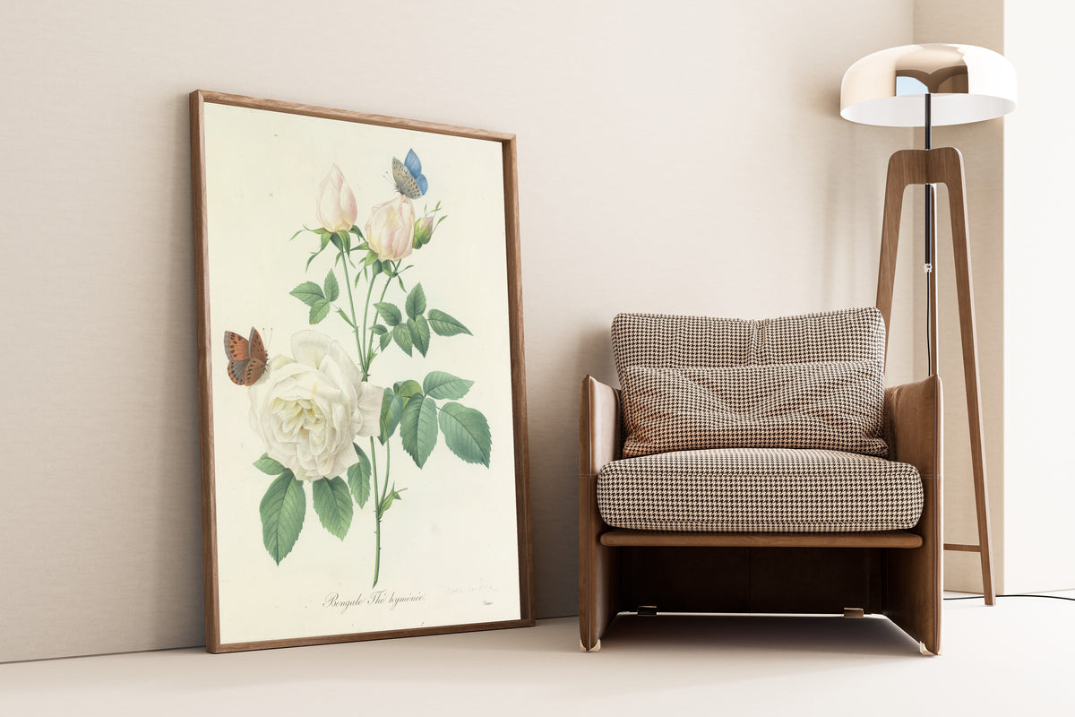 Framed art print of Choix des plus belles fleurs, Plate 92: Bengale Thé… by Pierre-Joseph Redouté, leaning against a wall beside an armchair and a floor lamp