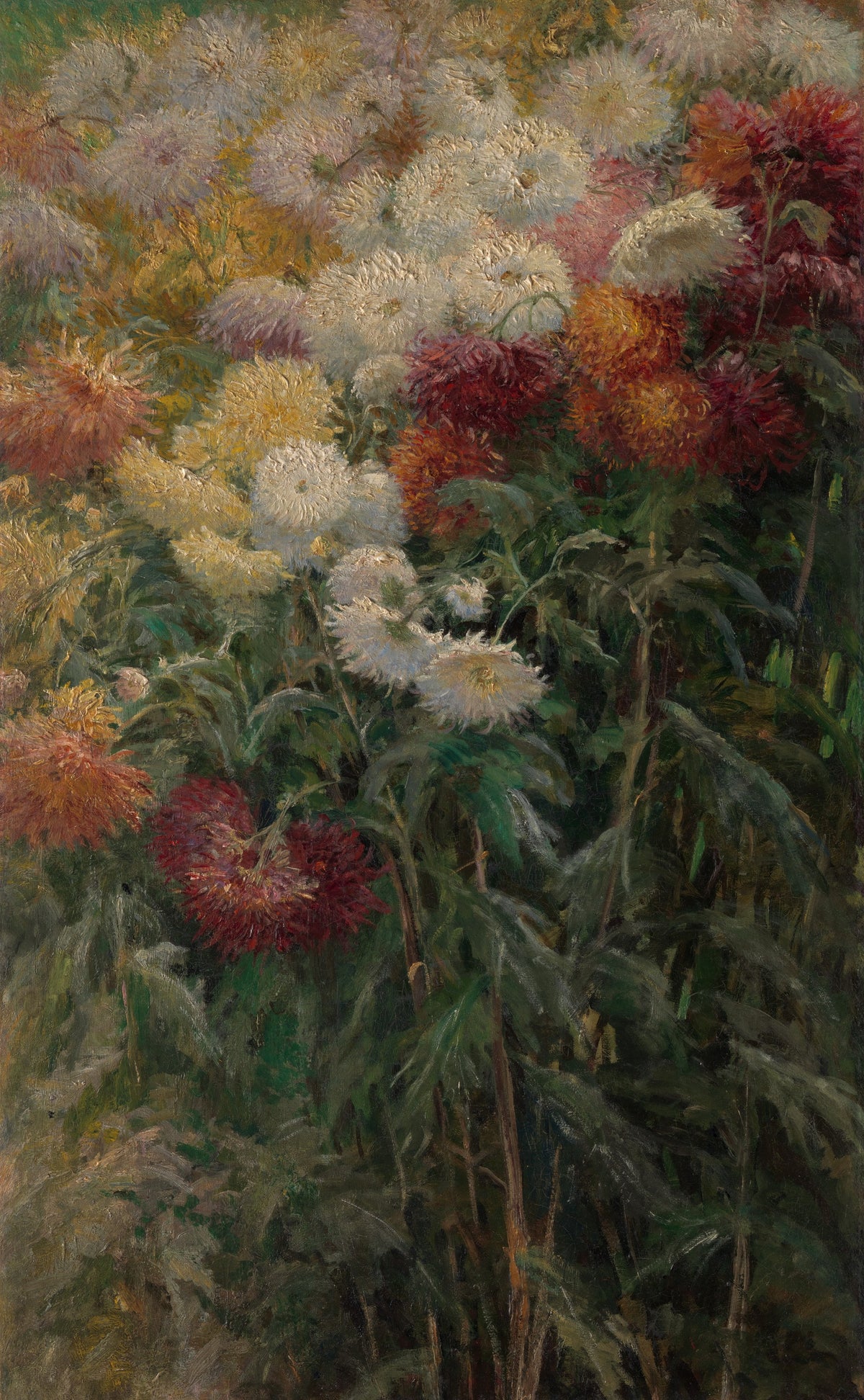 Gustave Caillebotte — Chrysanthemums in the Garden at Petit-Gennevilliers | Fine Art Print