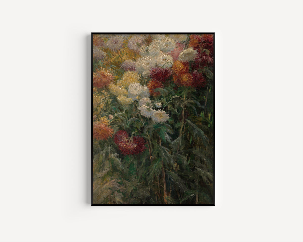 Gustave Caillebotte — Chrysanthemums in the Garden at Petit-Gennevilliers | Fine Art Print