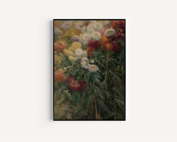 Gustave Caillebotte — Chrysanthemums in the Garden at Petit-Gennevilliers | Fine Art Print