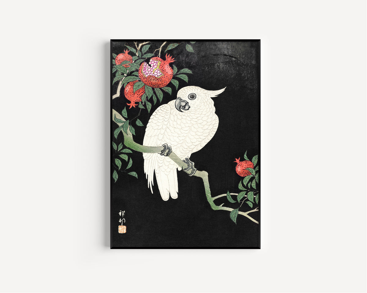 Ohara Koson — Cockatoo and Pomegranate | Japanese Bird & Flower Woodblock Print