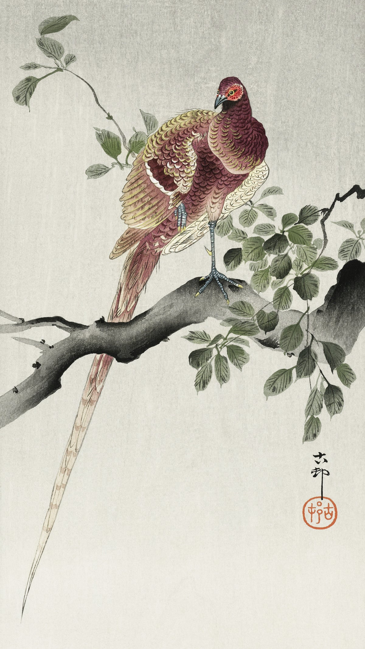 Copper Pheasant on a Branch by Ohara Koson — A plum-red pheasant stands on one leg on a gnarled branch