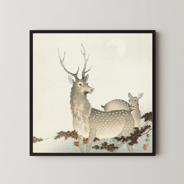 Ohara Koson — Couple of Deer | Japanese Bird & Flower Woodblock Print