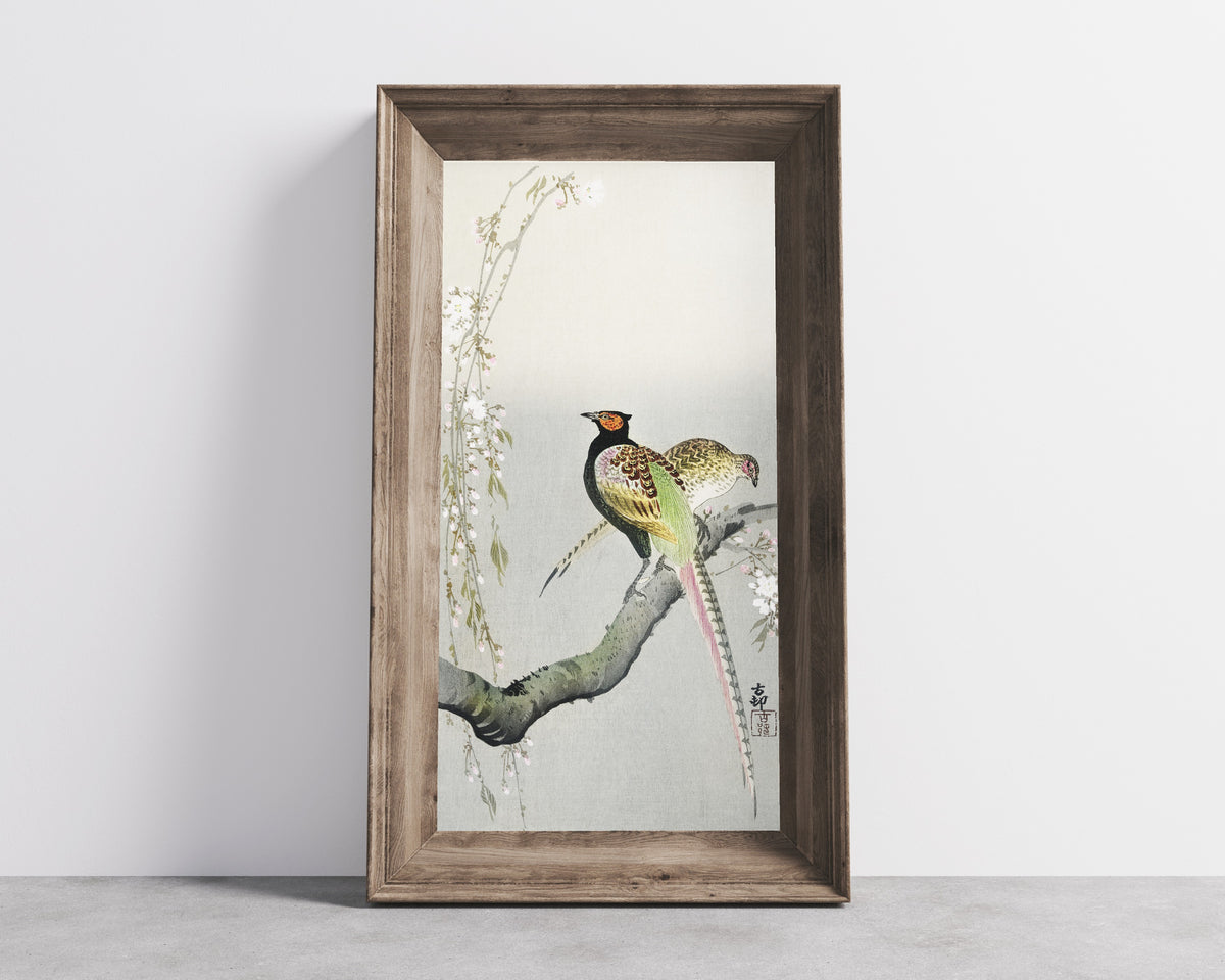 Ohara Koson — Couple of Pheasants and Cherry Blossom | Japanese Bird & Flower Woodblock Print