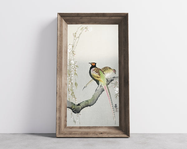 Ohara Koson — Couple of Pheasants and Cherry Blossom | Japanese Bird & Flower Woodblock Print