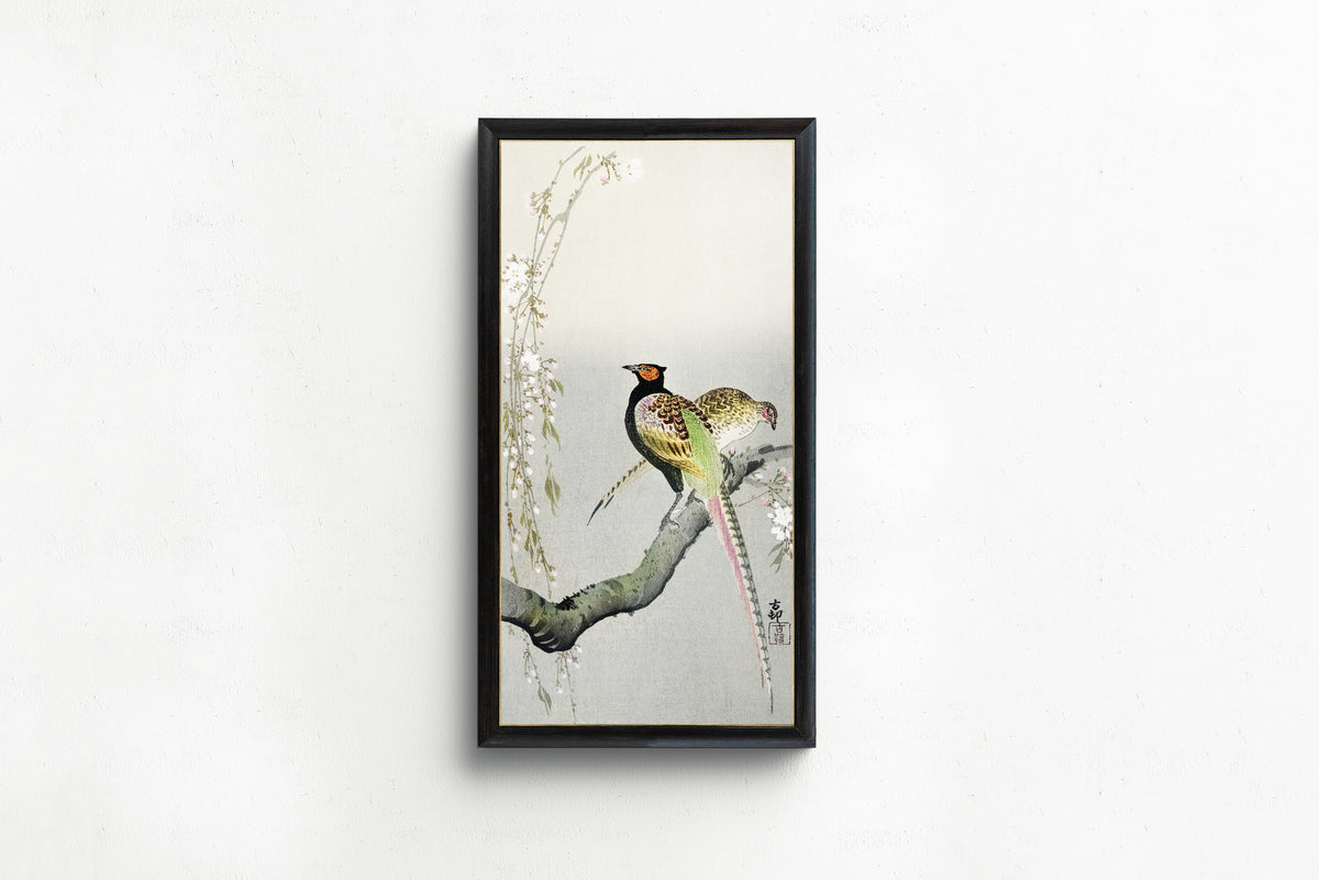 Ohara Koson — Couple of Pheasants and Cherry Blossom | Japanese Bird & Flower Woodblock Print