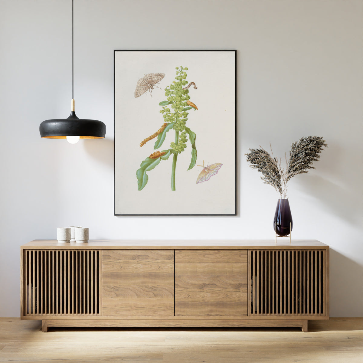 Framed art print of Curly Dock with Metamorphoses of the Small Engrailed and the Blood-Vein by Maria Sibylla Merian, above a slatted wood sideboard