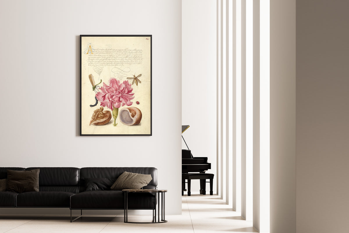 Framed art print of Damselfly, Carnation, Insect, Caterpillar, Ladybird, English Walnut, and Marine… by Joris Hoefnagel, on the wall of a minimal living room