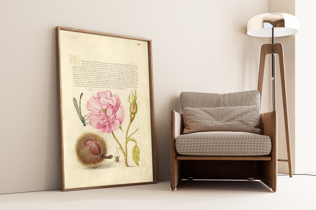 Joris Hoefnagel — Damselfly, French Rose, Spanish Chestnut, and Spider | Botanical Calligraphy Print