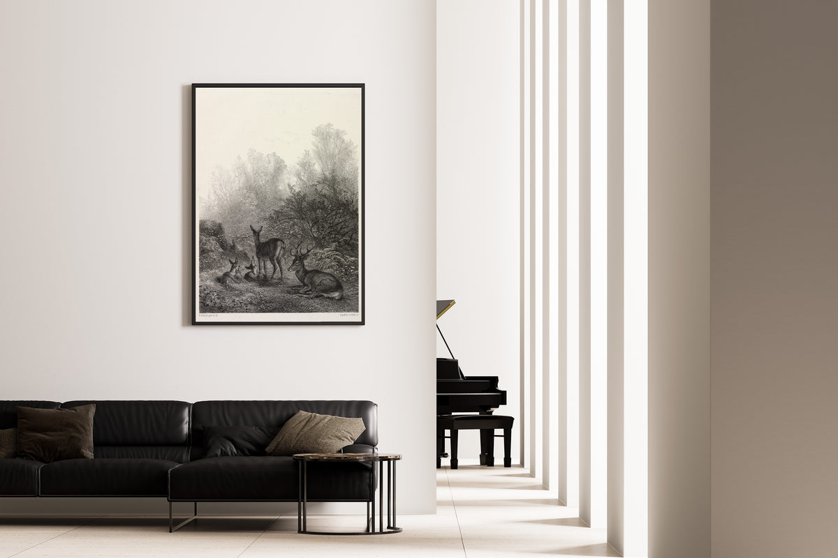 Karl Bodmer — Deer at Rest | Fine Art Print