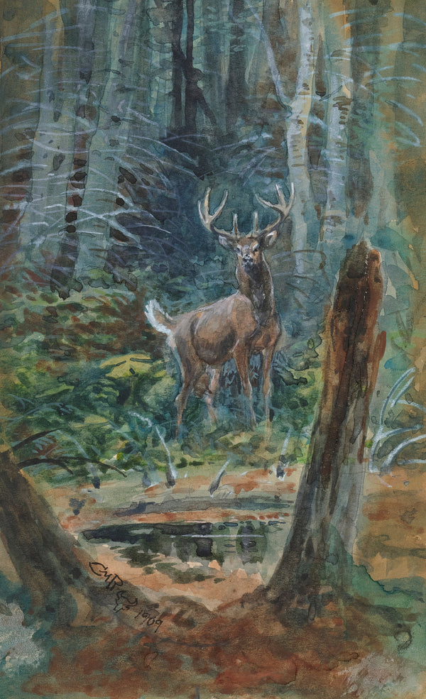 Charles M. Russell — Deer in the Dell | Fine Art Print