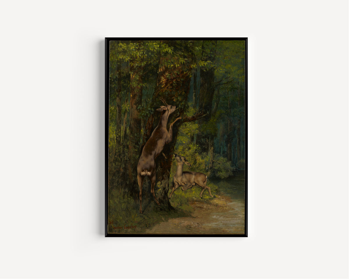 Deer in the Forest by Gustave Courbet — in a slim black frame on a plain white wall
