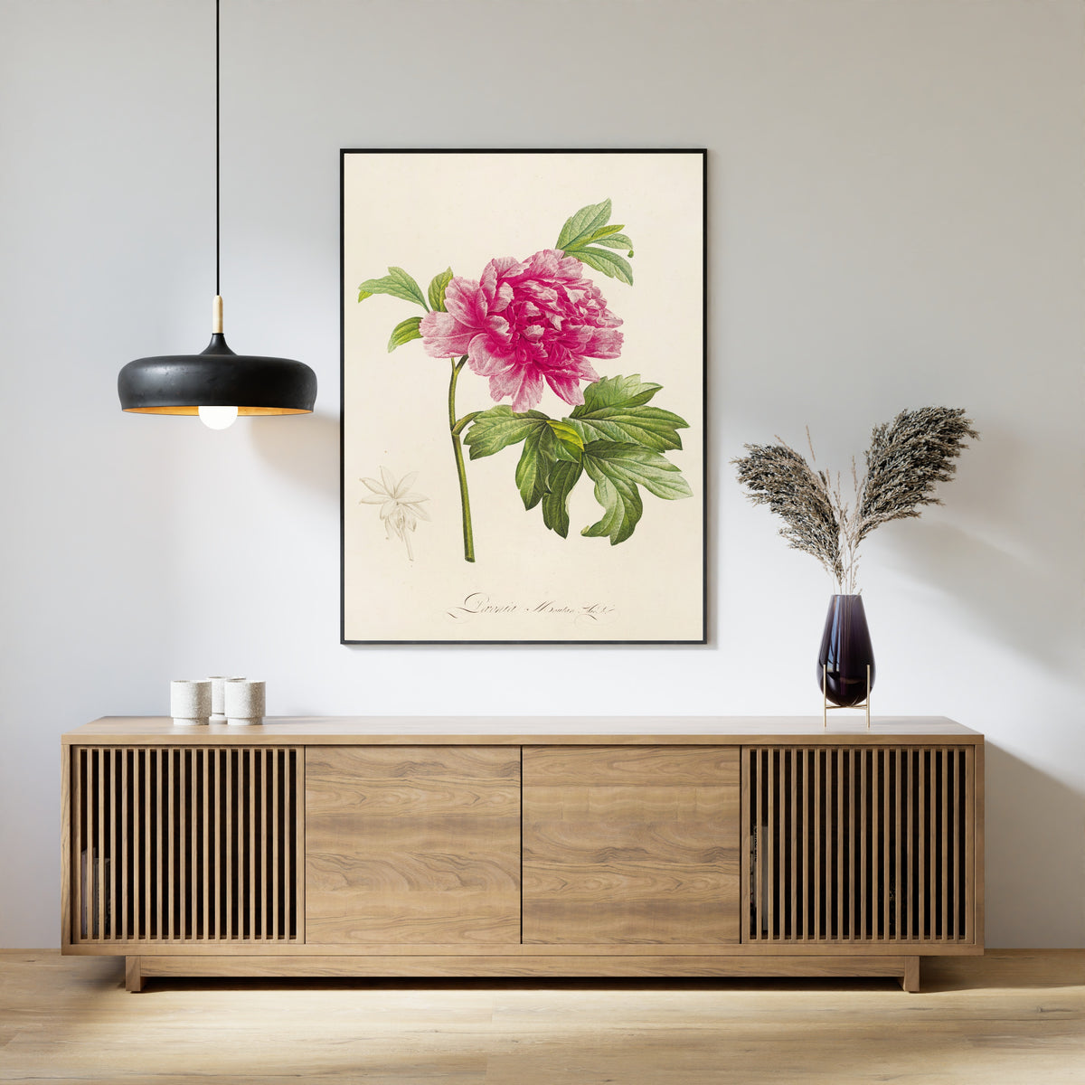 Pierre-Joseph Redouté — Description des plantes rares cultivées à Malmaison et à Navarre: Paeonia moutan | Botanical Illustration Print