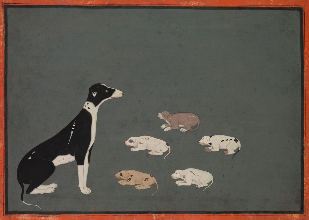 Sawar or Ajmer school — Dog with Pups | Indian Miniature Painting Print