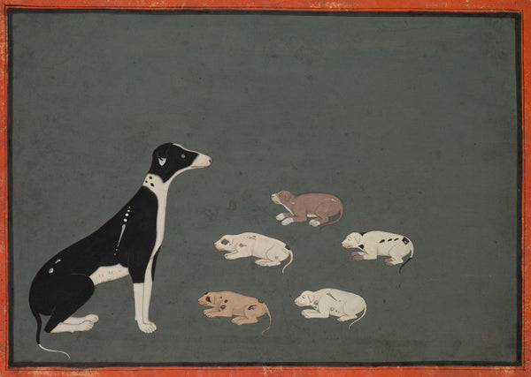Sawar or Ajmer school — Dog with Pups | Indian Miniature Painting Print