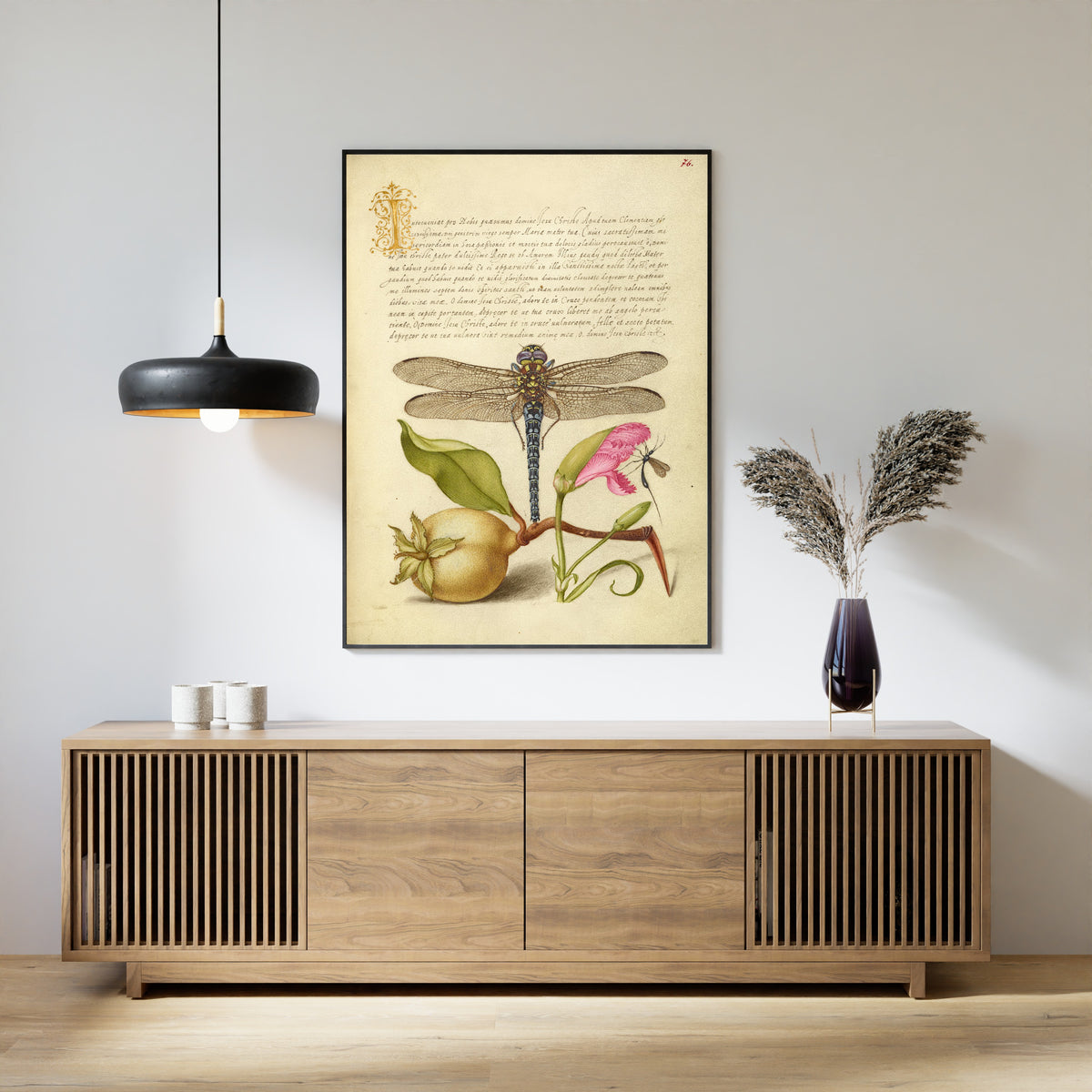 Joris Hoefnagel — Dragonfly, Pear, Carnation, and Insect | Botanical Calligraphy Print