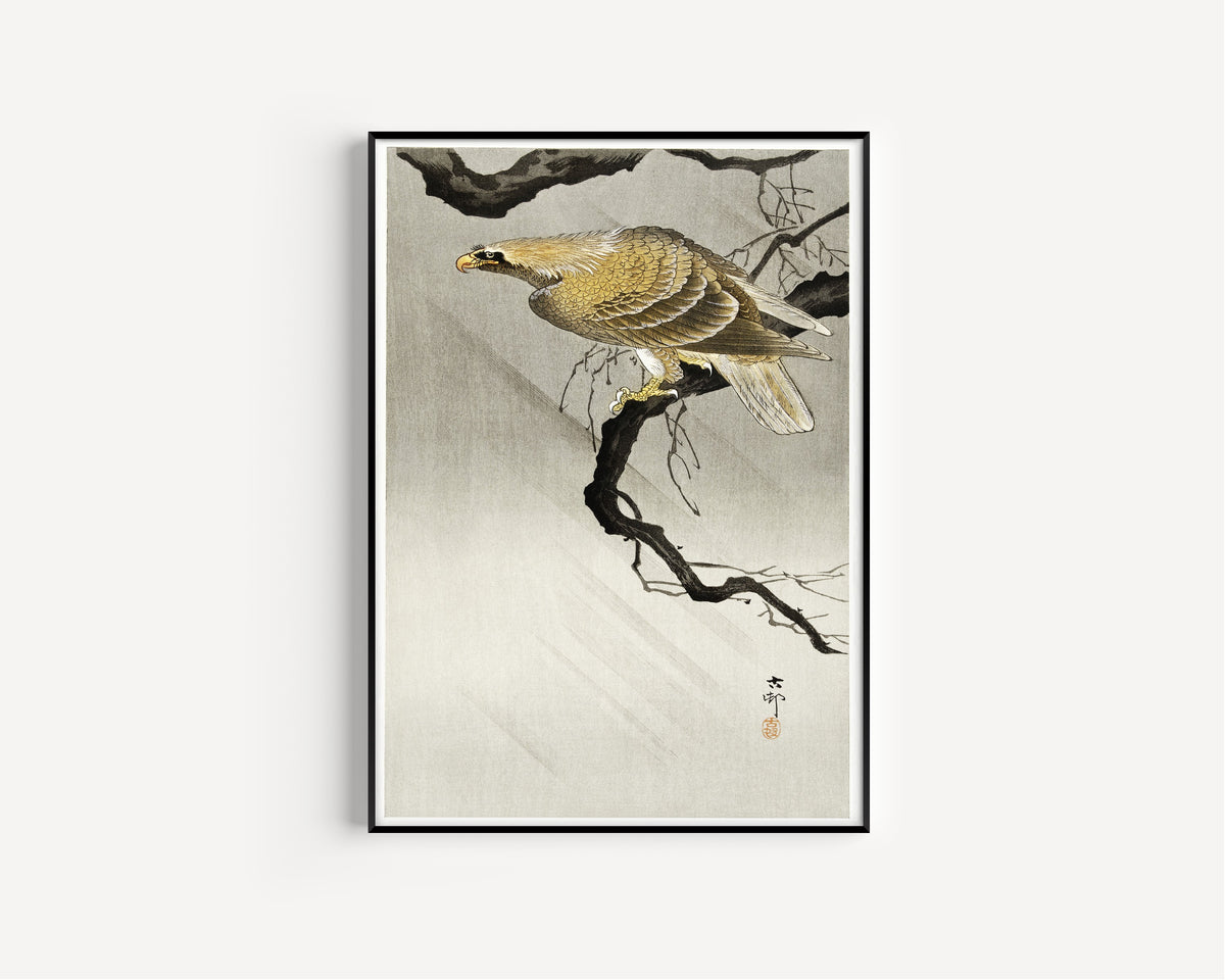 Ohara Koson — Eagle on Branch | Japanese Bird & Flower Woodblock Print