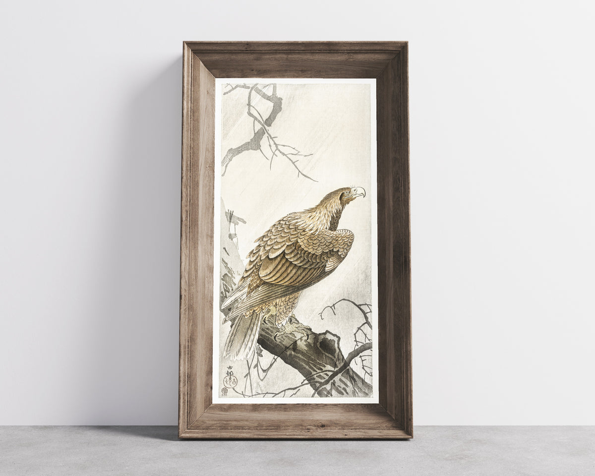 Ohara Koson — Eagle on Tree Branch | Japanese Bird & Flower Woodblock Print