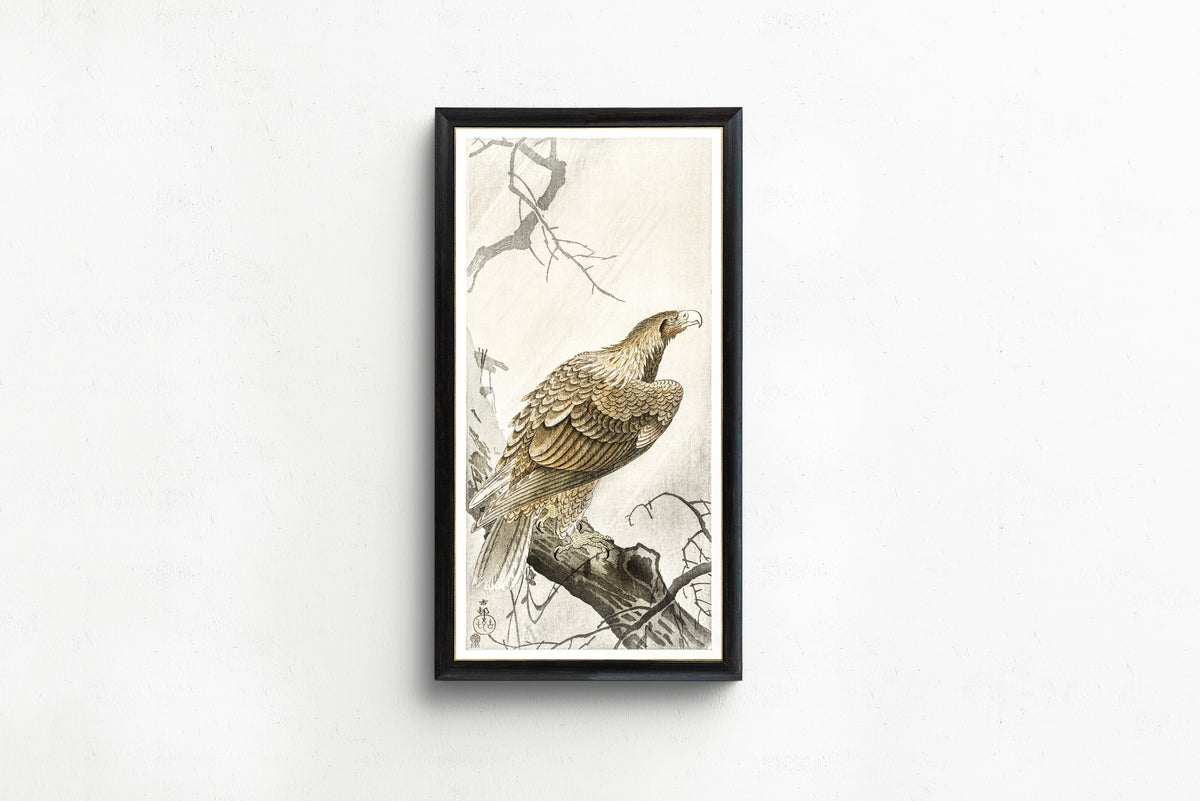 Ohara Koson — Eagle on Tree Branch | Japanese Bird & Flower Woodblock Print