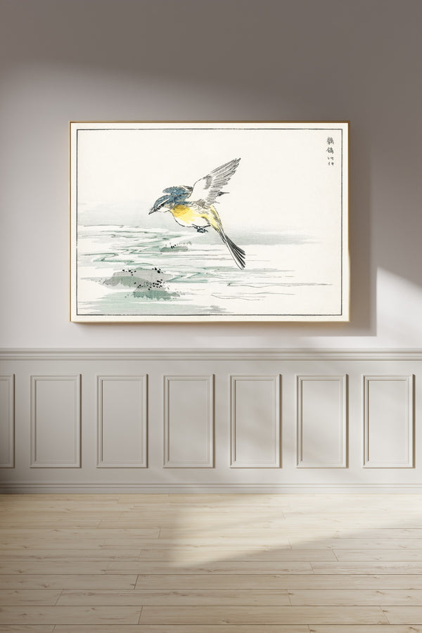 Numata Kashū — Wagtail over a Stream | Japanese Bird & Flower Woodblock Print
