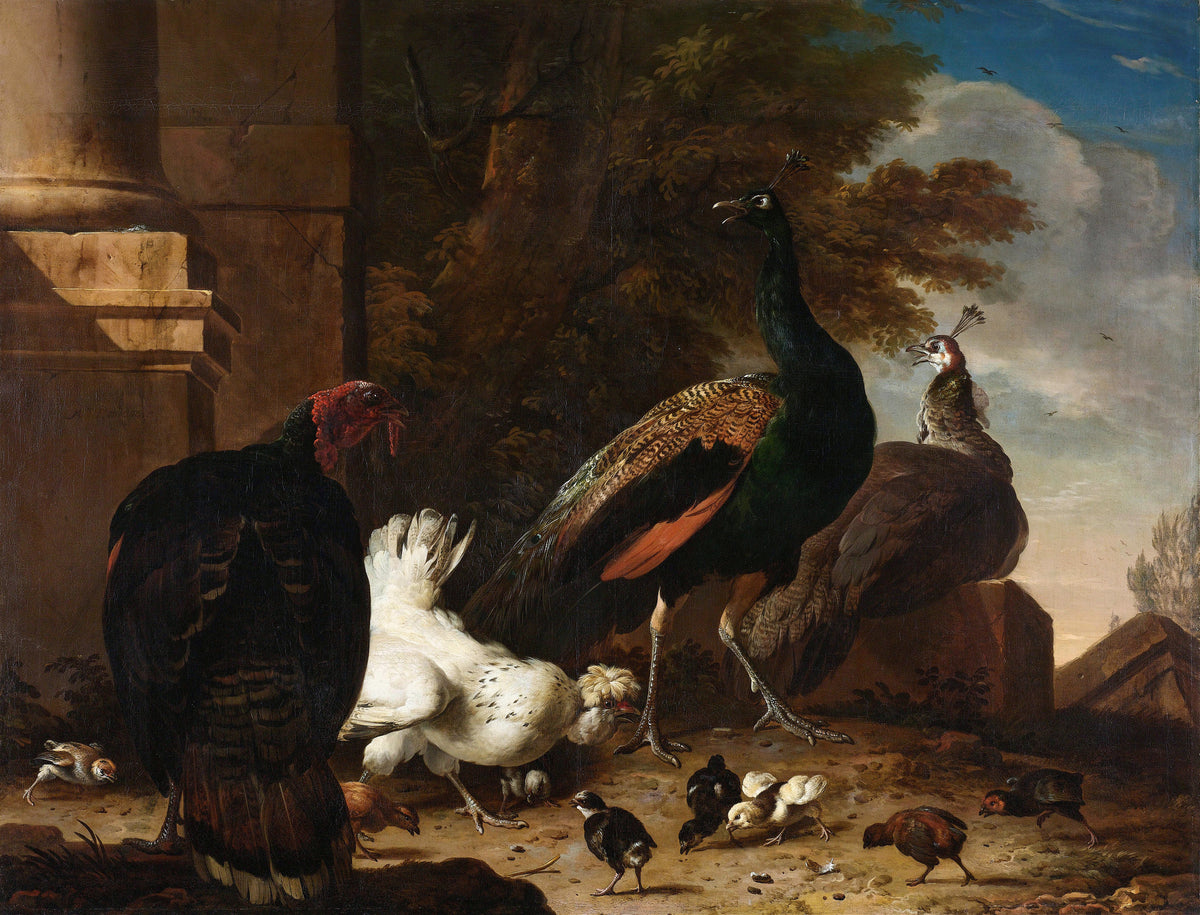 Melchior d'Hondecoeter — Een hen met pauwen en een kalkoen (A Hen with Peacocks and a Turkey) | Fine Art Print