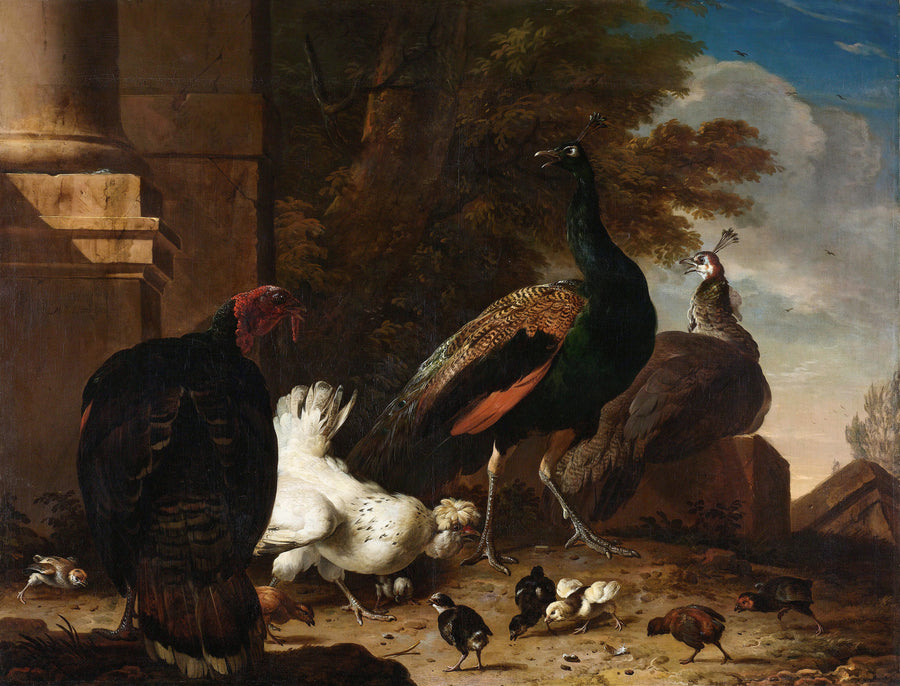 Melchior d'Hondecoeter — Een hen met pauwen en een kalkoen (A Hen with Peacocks and a Turkey) | Fine Art Print shown to scale on a wall above a sofa