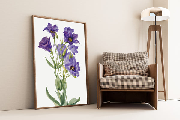 Mary Vaux Walcott — Eustoma russelianum | Natural History Print