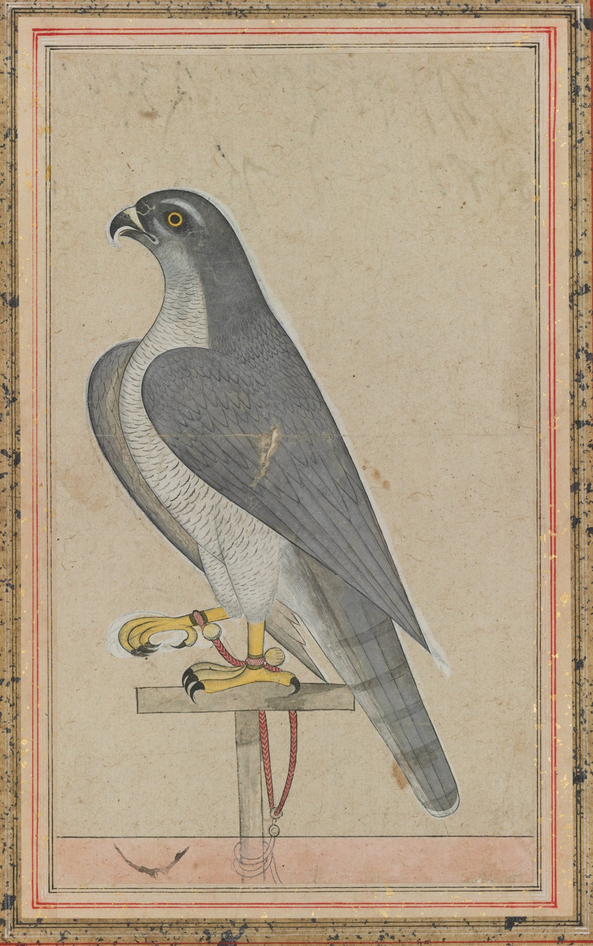 Pahari school — Falcon | Indian Miniature Painting Print