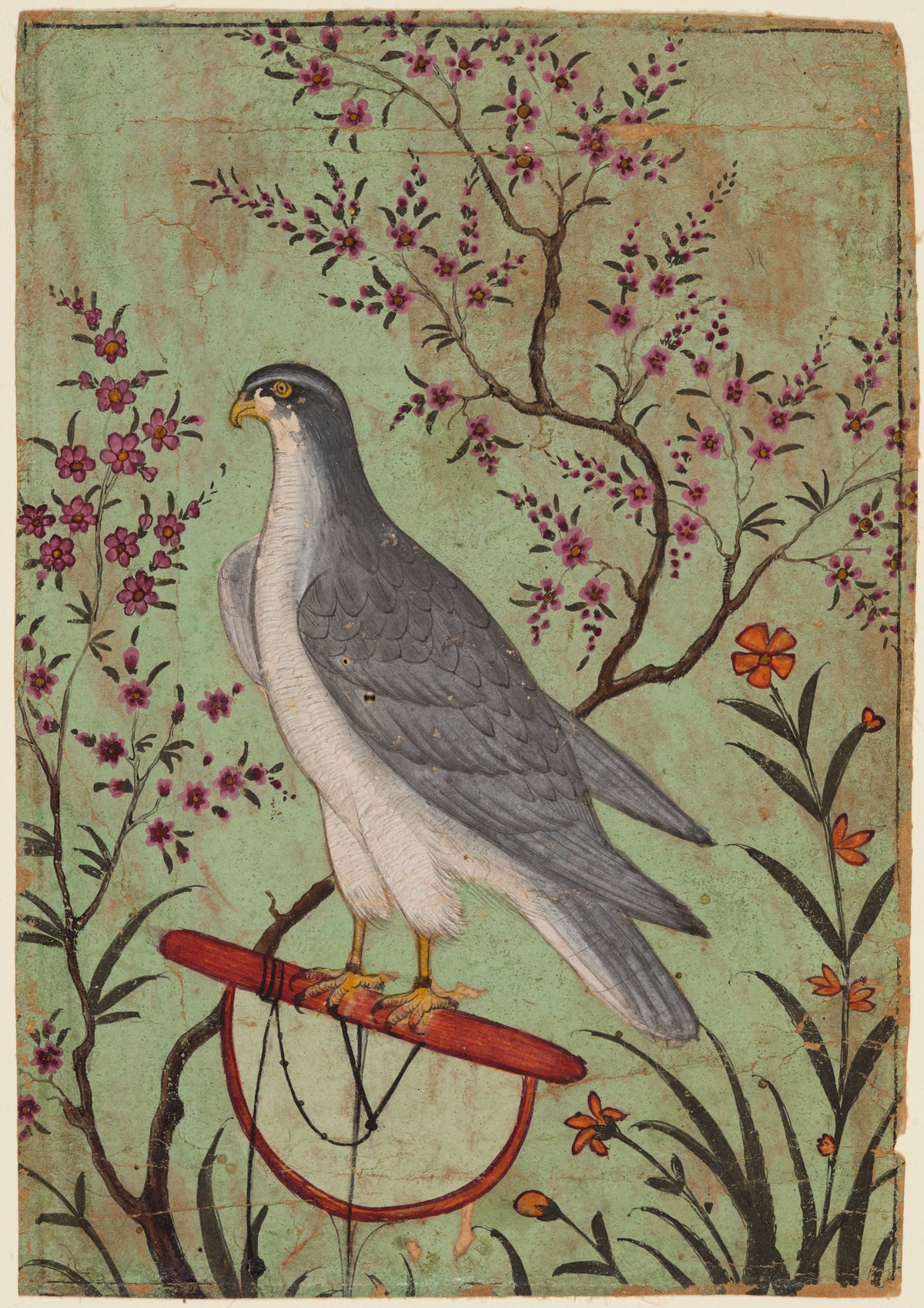 Amber school — Falcon on a Perch | Indian Miniature Painting Print