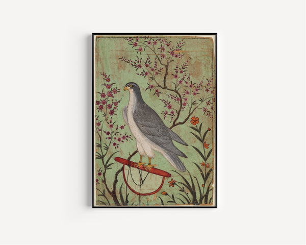 Amber school — Falcon on a Perch | Indian Miniature Painting Print