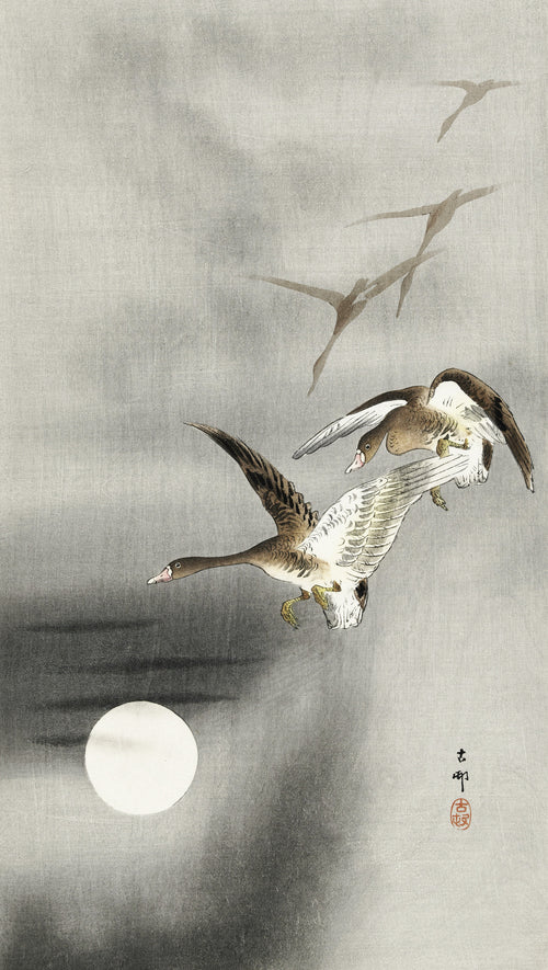 Five Geese in Flight at Full Moon by Ohara Koson — Geese descend toward a white full moon in grey cloud