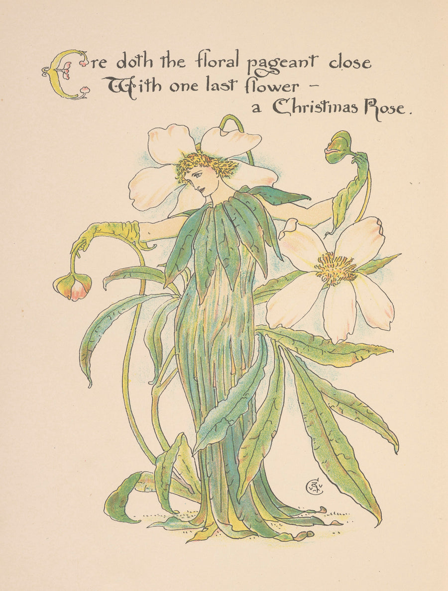 Walter Crane — Flora's Feast: Christmas Rose | Art Nouveau Print shown to scale on a wall above a sofa