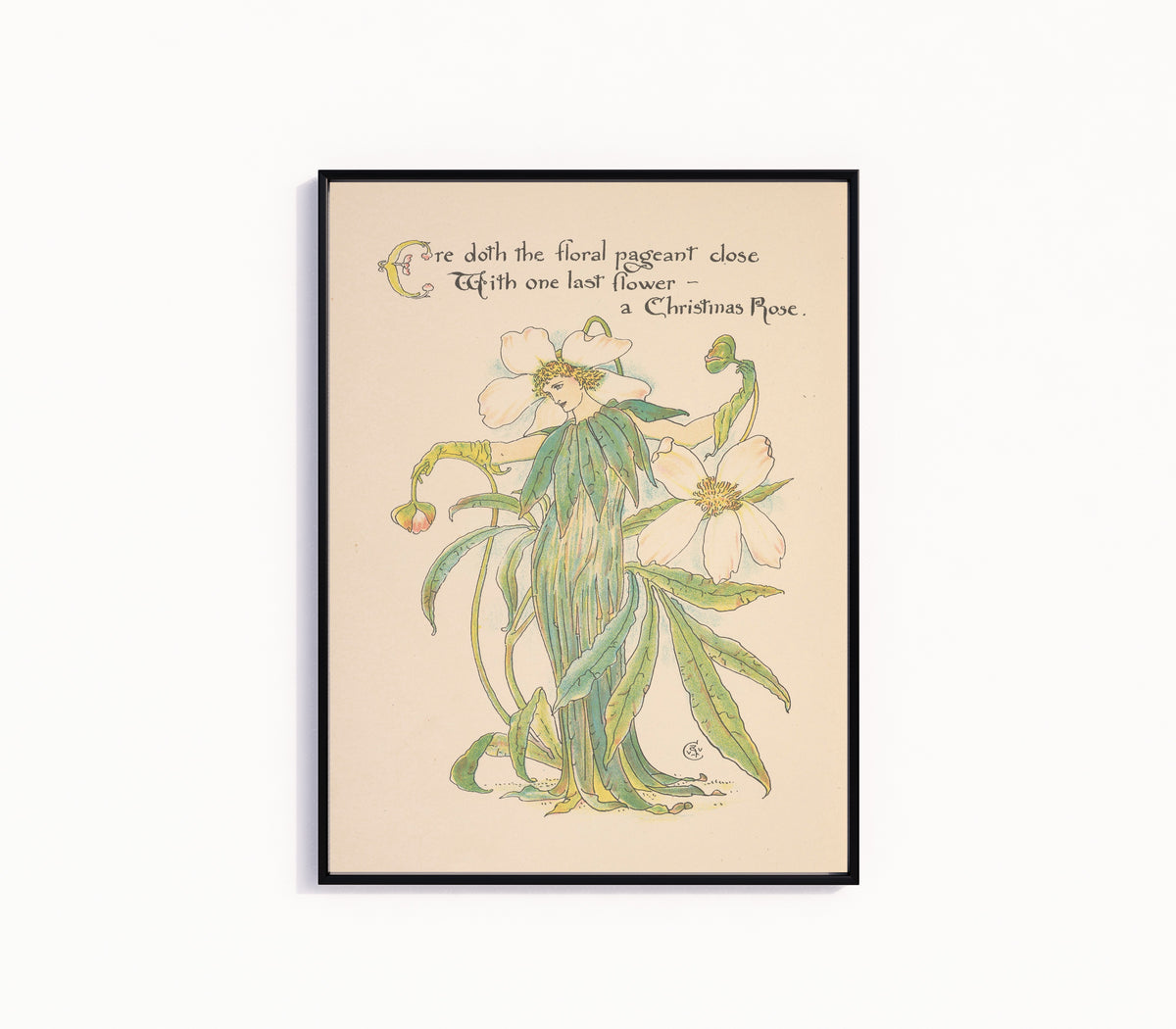 Framed art print of Flora's Feast: Christmas Rose by Walter Crane, in a slim black frame on a plain white wall