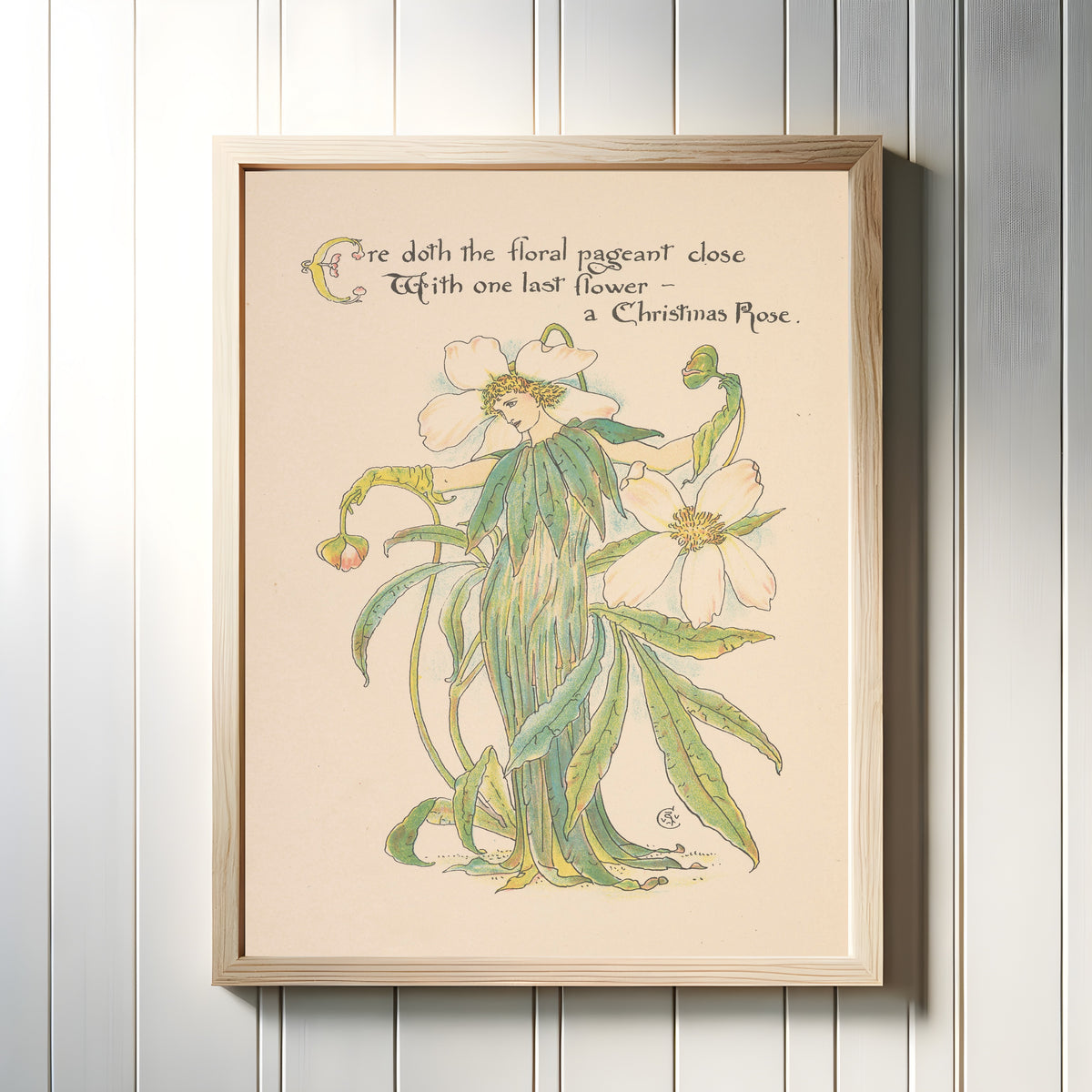 Framed art print of Flora's Feast: Christmas Rose by Walter Crane, in a light wood frame on a white panelled wall