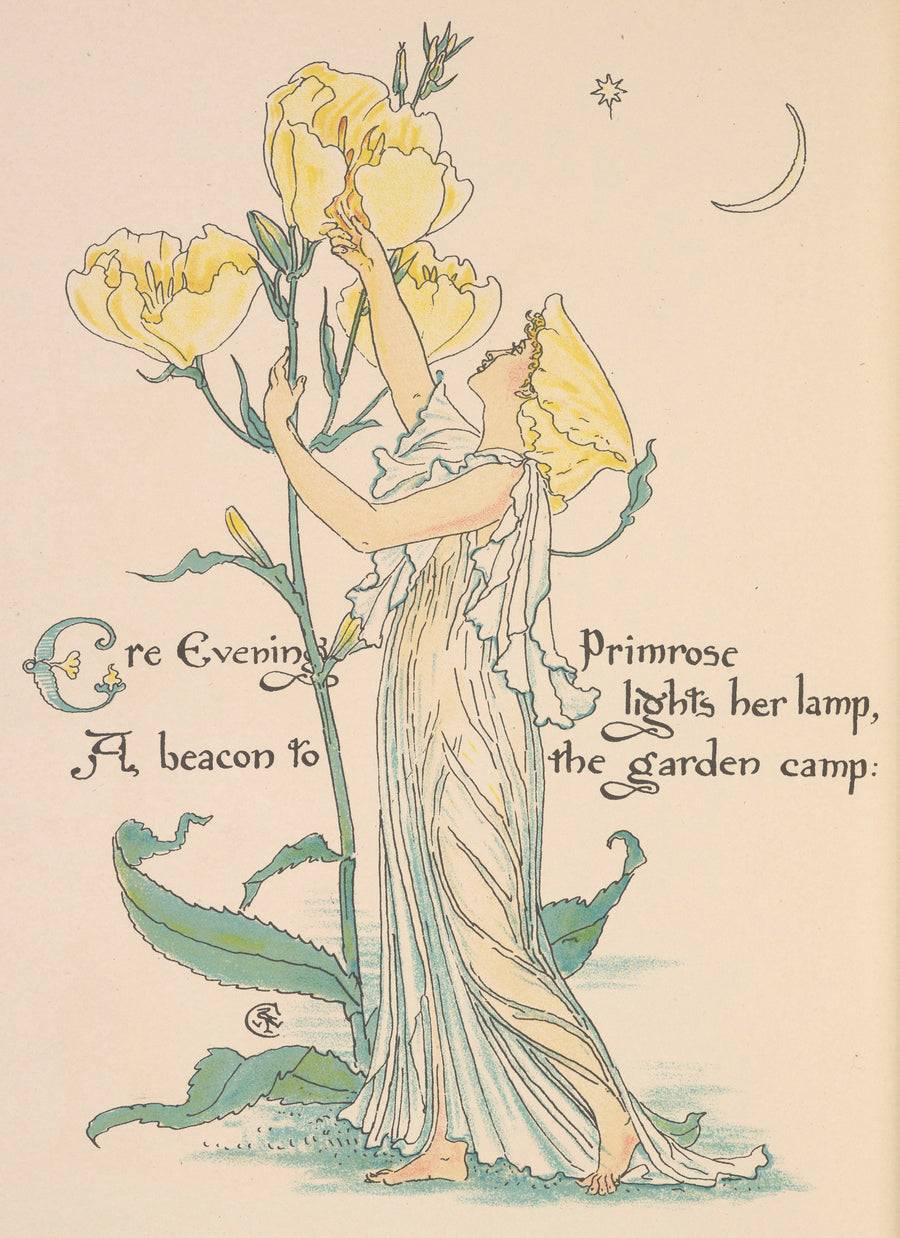 Walter Crane — Flora's Feast: Evening Primrose | Art Nouveau Print shown to scale on a wall above a sofa