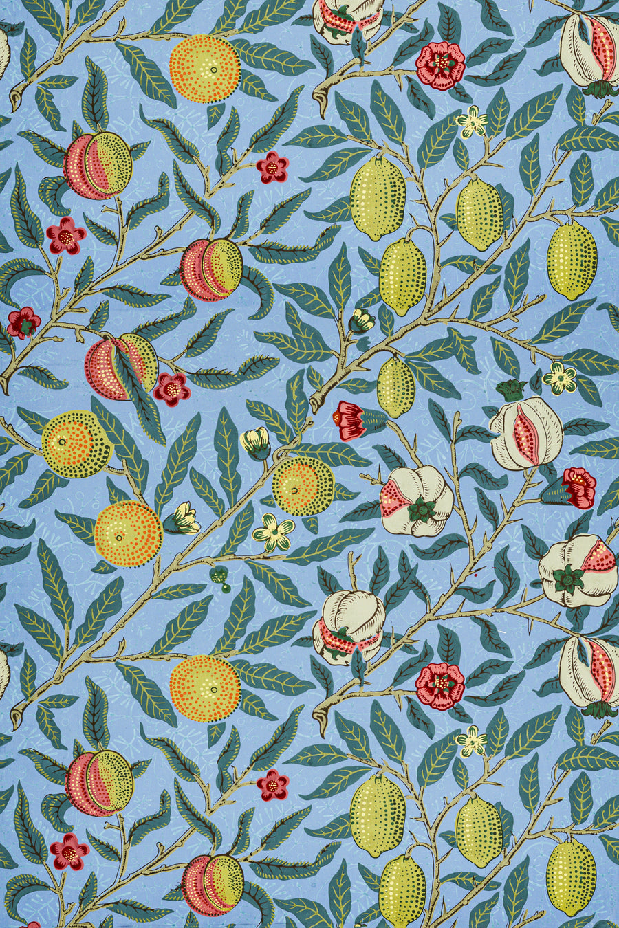 William Morris — Four Fruits | Botanical Art Print shown to scale on a wall above a sofa