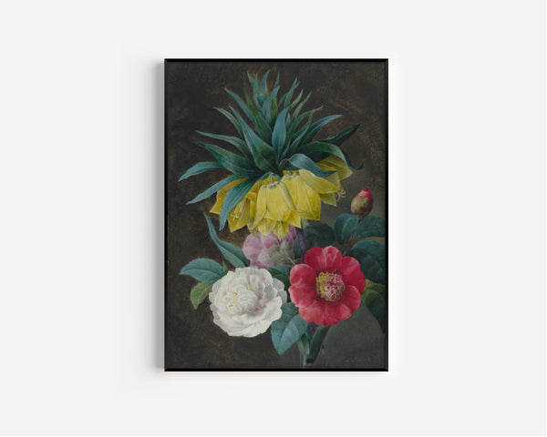 Pierre-Joseph Redouté — Four Peonies and a Crown Imperial | Botanical Illustration Print