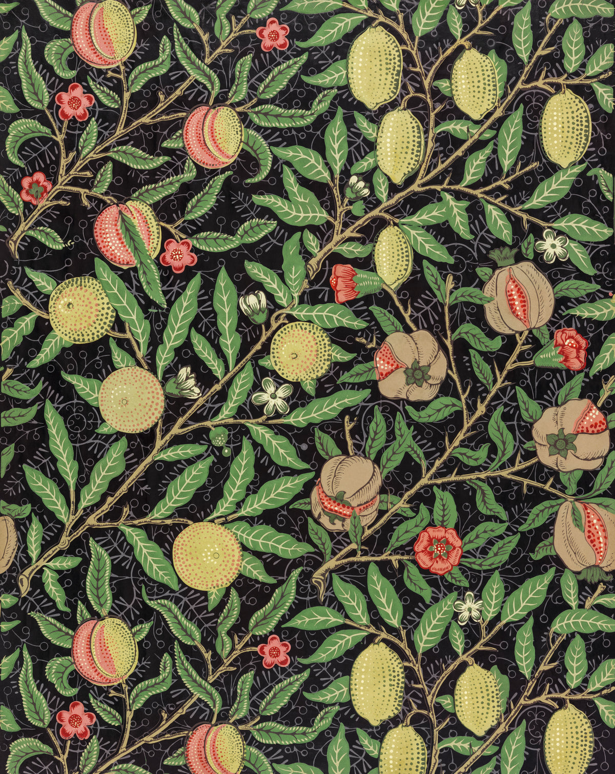 Fruit by William Morris — Lemons and split pomegranates hang from branches on black