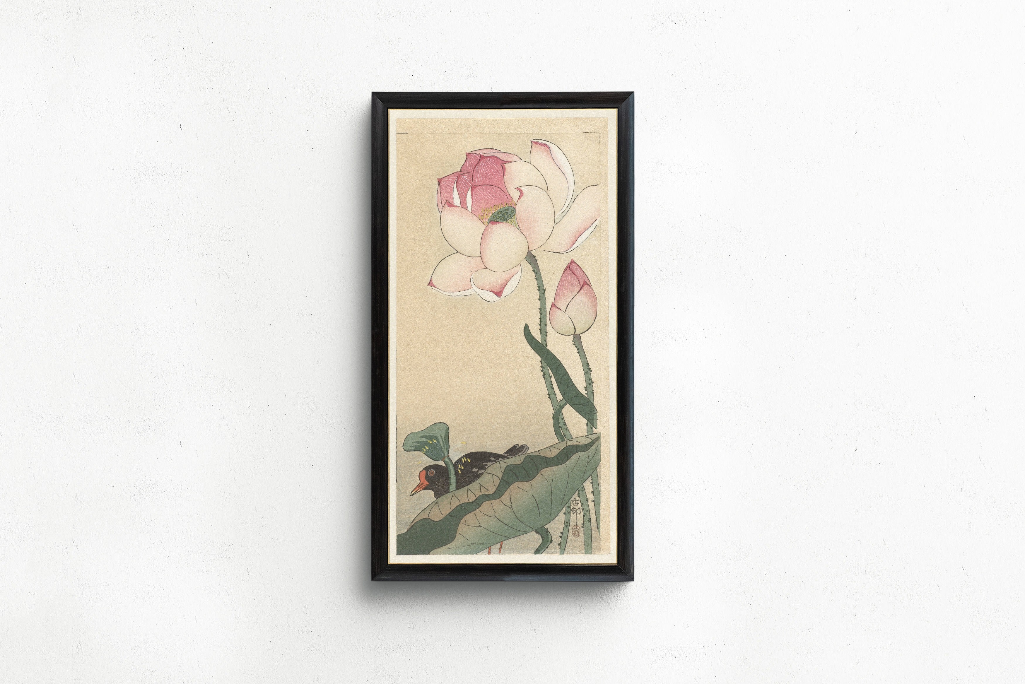 Ohara Koson — Gallinule with Lotus Flowers | Japanese Bird & Flower Woodblock Print