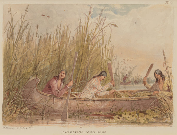 Seth Eastman — Gathering Wild Rice | Western Art Print
