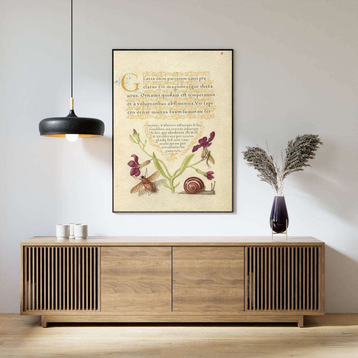 Joris Hoefnagel — Gillyflower, Mayfly, Fly, and Snail | Botanical Calligraphy Print