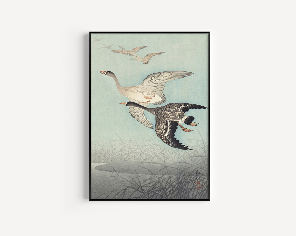 Ohara Koson — Great Geese in Flight | Japanese Bird & Flower Woodblock Print