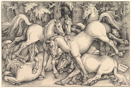 Group of Seven Horses by Hans Baldung Grien — Wild horses rear, bite and tangle in a forest clearing