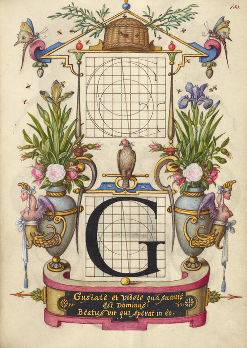 Joris Hoefnagel — Guide for Constructing the Letter G | Illuminated Calligraphy Print