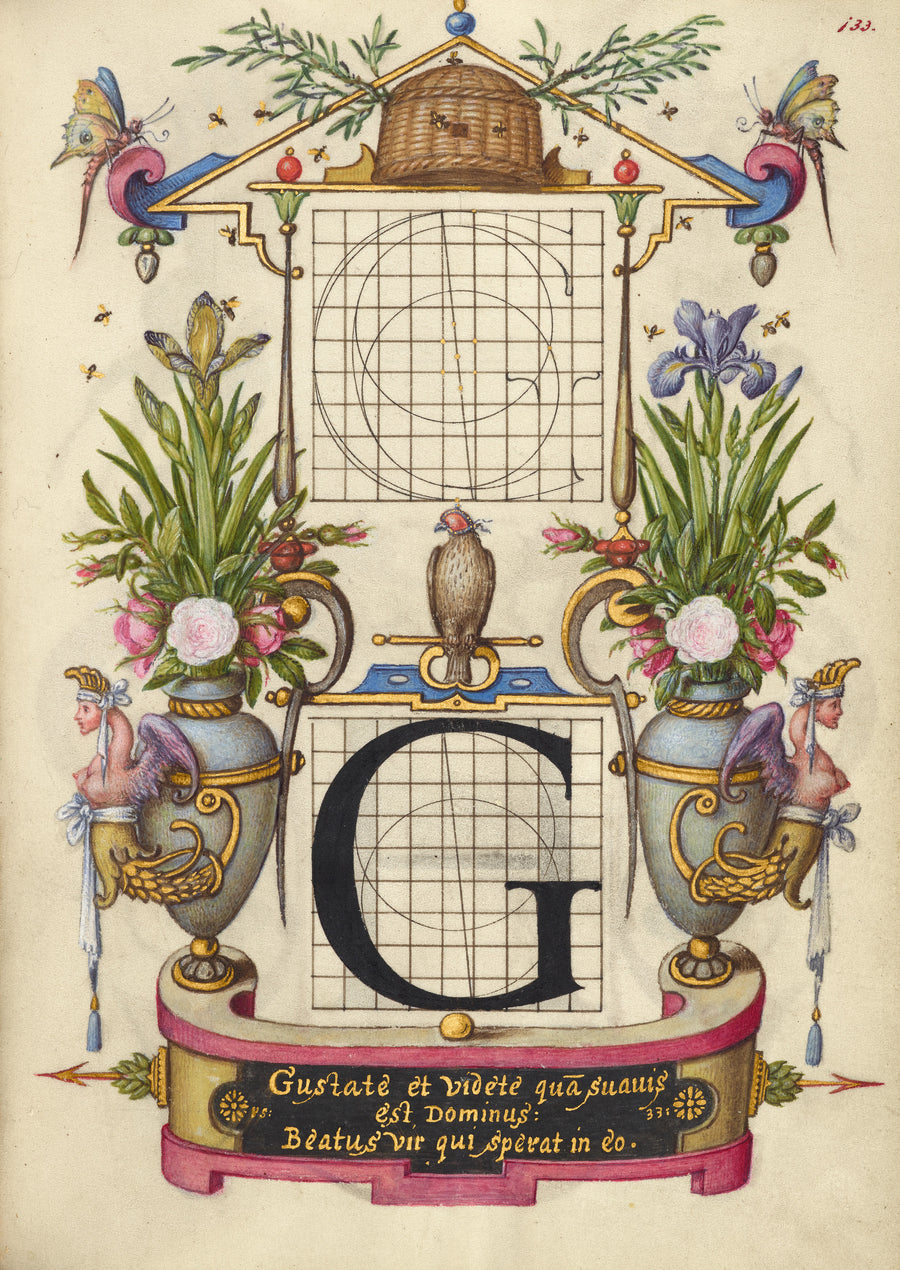 Joris Hoefnagel — Guide for Constructing the Letter G | Illuminated Calligraphy Print shown to scale on a wall above a sofa