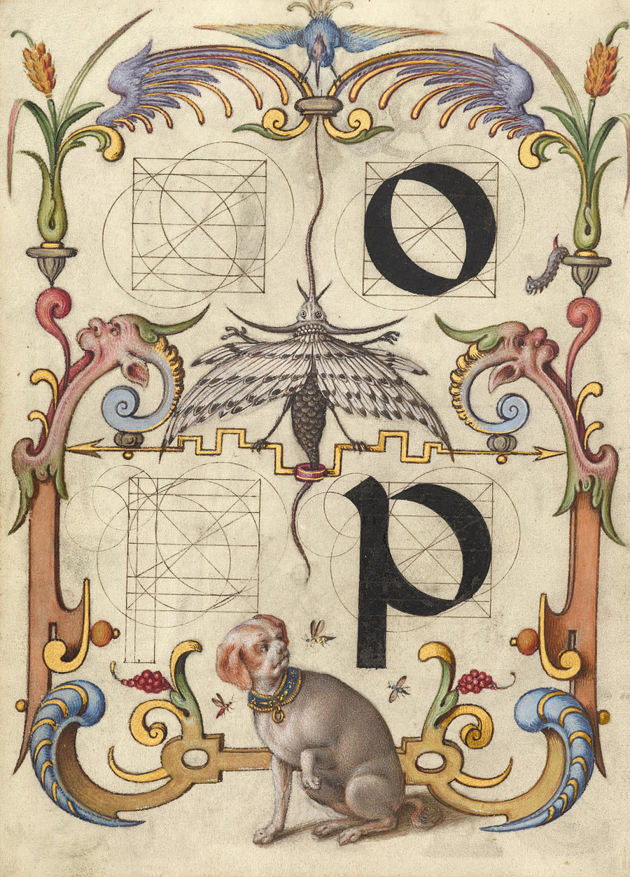 Joris Hoefnagel — Guide for Constructing the Letters o and p | Illuminated Calligraphy Print shown to scale on a wall above a sofa