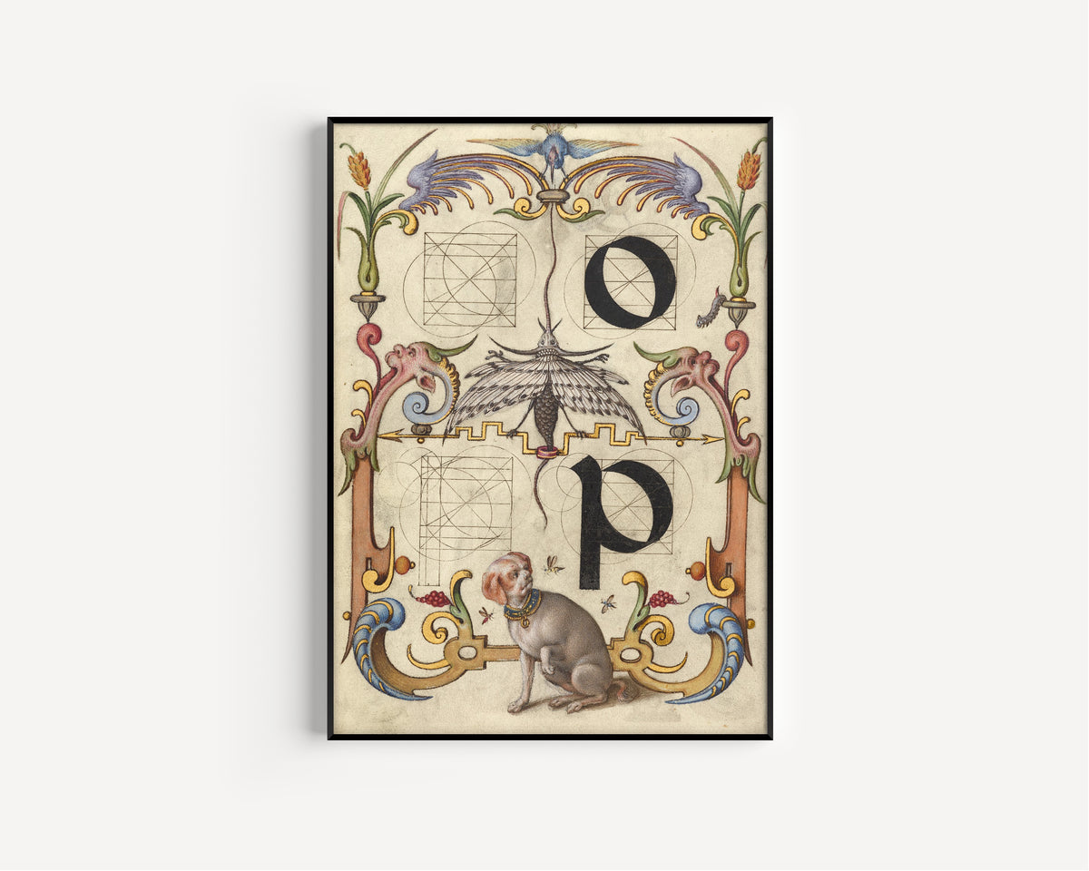 Joris Hoefnagel — Guide for Constructing the Letters o and p | Illuminated Calligraphy Print