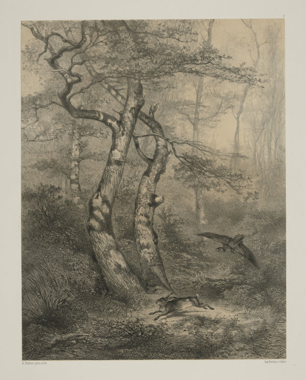 Karl Bodmer — Hare Pursued by a Goshawk | Fine Art Print