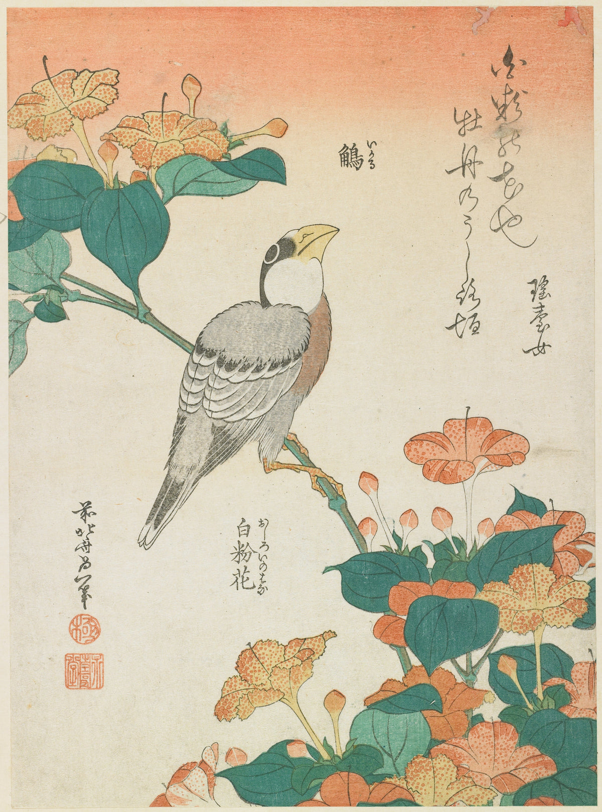 Katsushika Hokusai — Hawfinch and Marvel-of-Peru | Japanese Woodblock Print (Ukiyo-e)