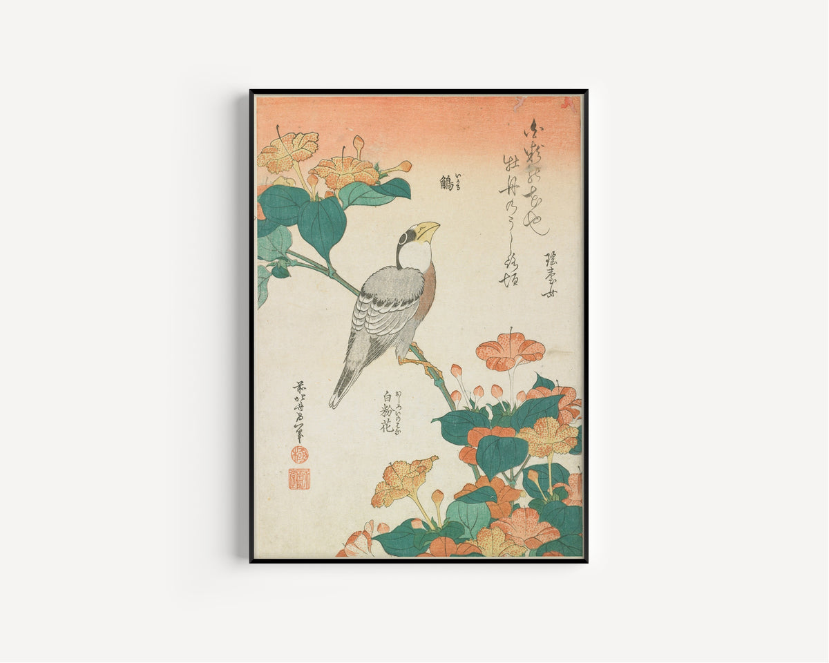 Katsushika Hokusai — Hawfinch and Marvel-of-Peru | Japanese Woodblock Print (Ukiyo-e)